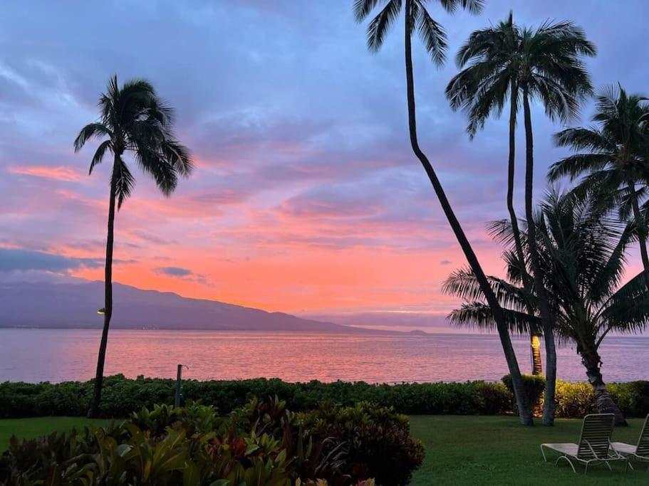 Stunning Maui Direct Ocean Front On The Beach, Walk To Beach From Condo, Watch Turtles, Whales, Ac In All Rooms Ocean View Pool And Spa Wailuku Eksteriør billede