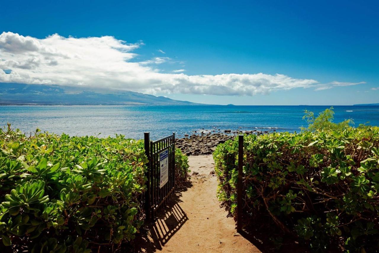 Stunning Maui Direct Ocean Front On The Beach, Walk To Beach From Condo, Watch Turtles, Whales, Ac In All Rooms Ocean View Pool And Spa Wailuku Eksteriør billede